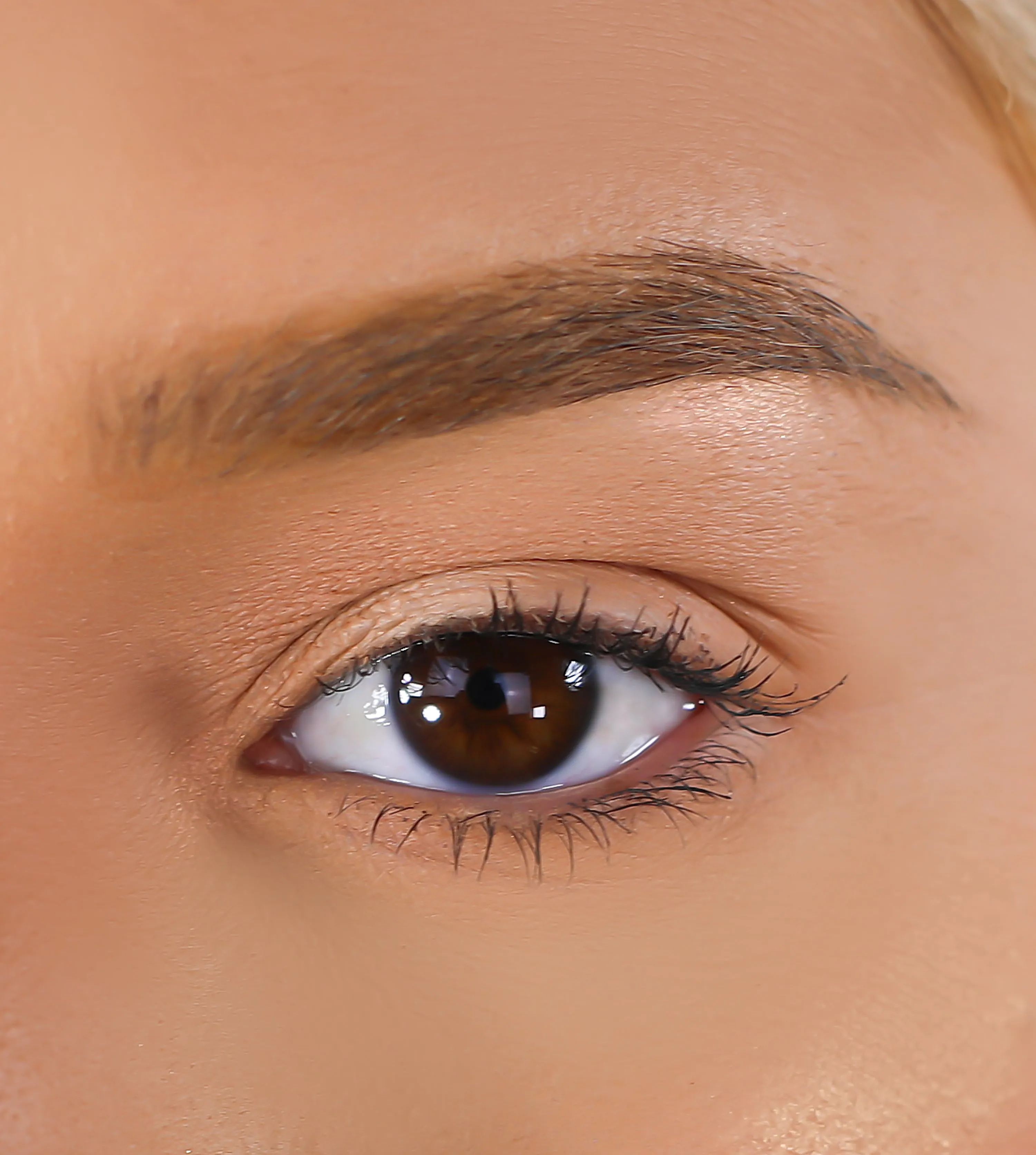 3D Mink Eyelashes - Dynamic