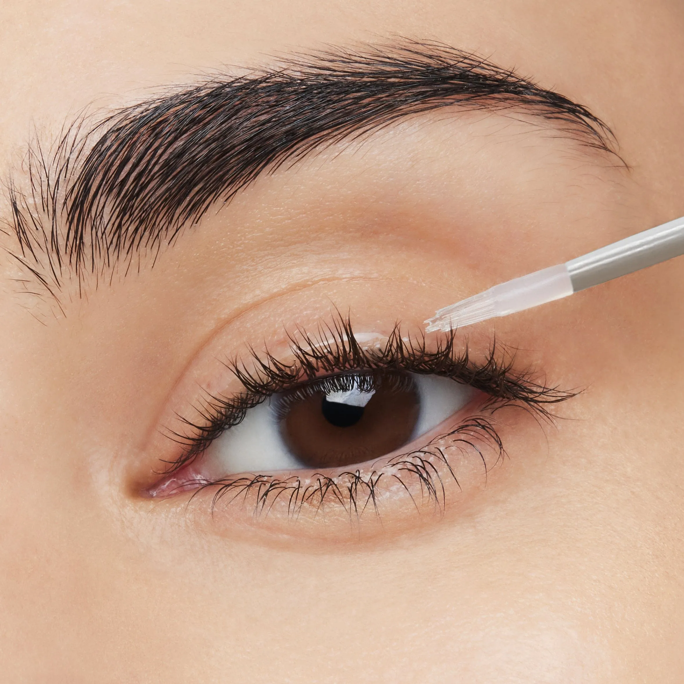 Estée Lauder Turbo Lash Night Revitalizing Serum for Lash   Brow