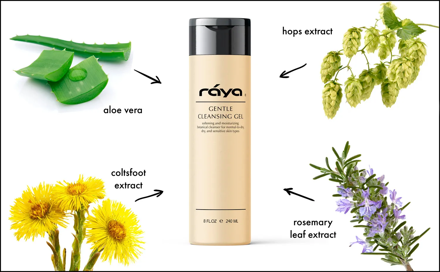 GENTLE CLEANSING GEL (104) RAYA SPA