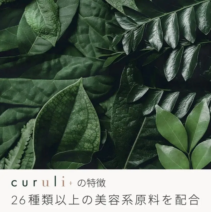 [Matsukaze] curuli  glue Curuli  glue for lash lift 6g