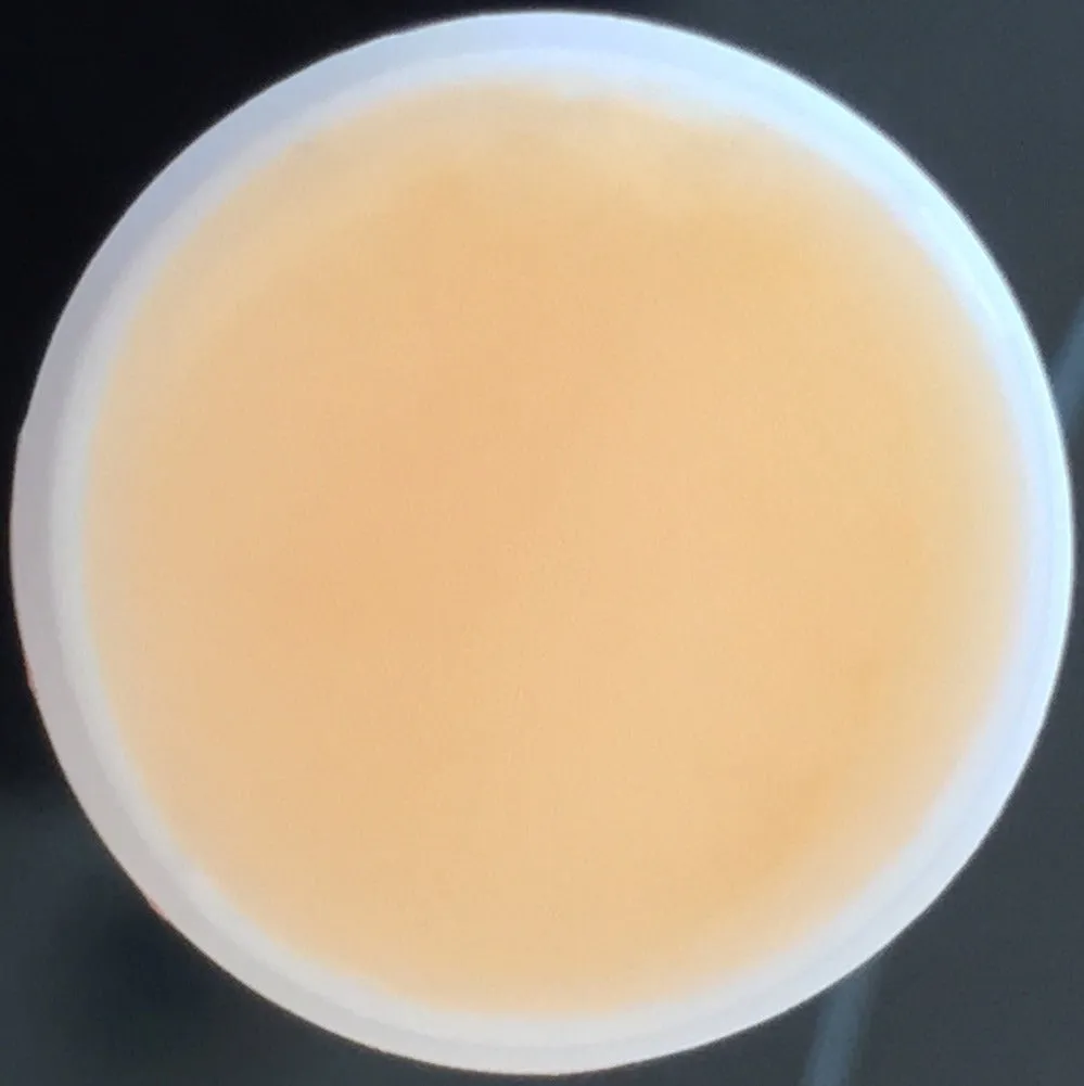 Orange Vanilla Flavored Lip Balm Kissing Stick