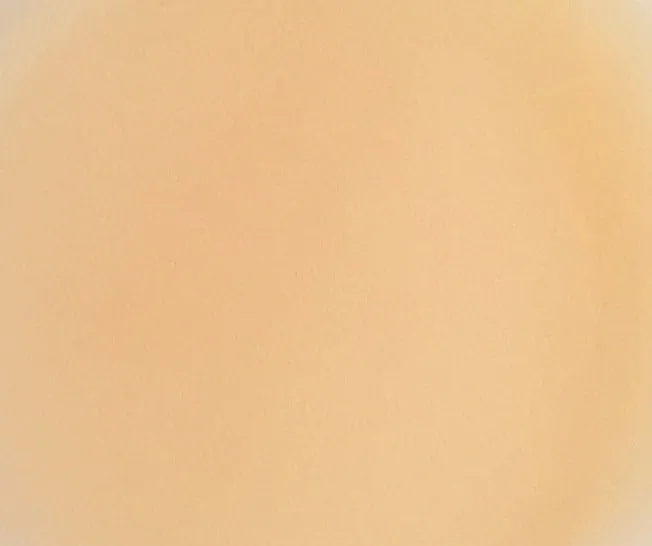 Orange Vanilla Flavored Lip Balm Kissing Stick