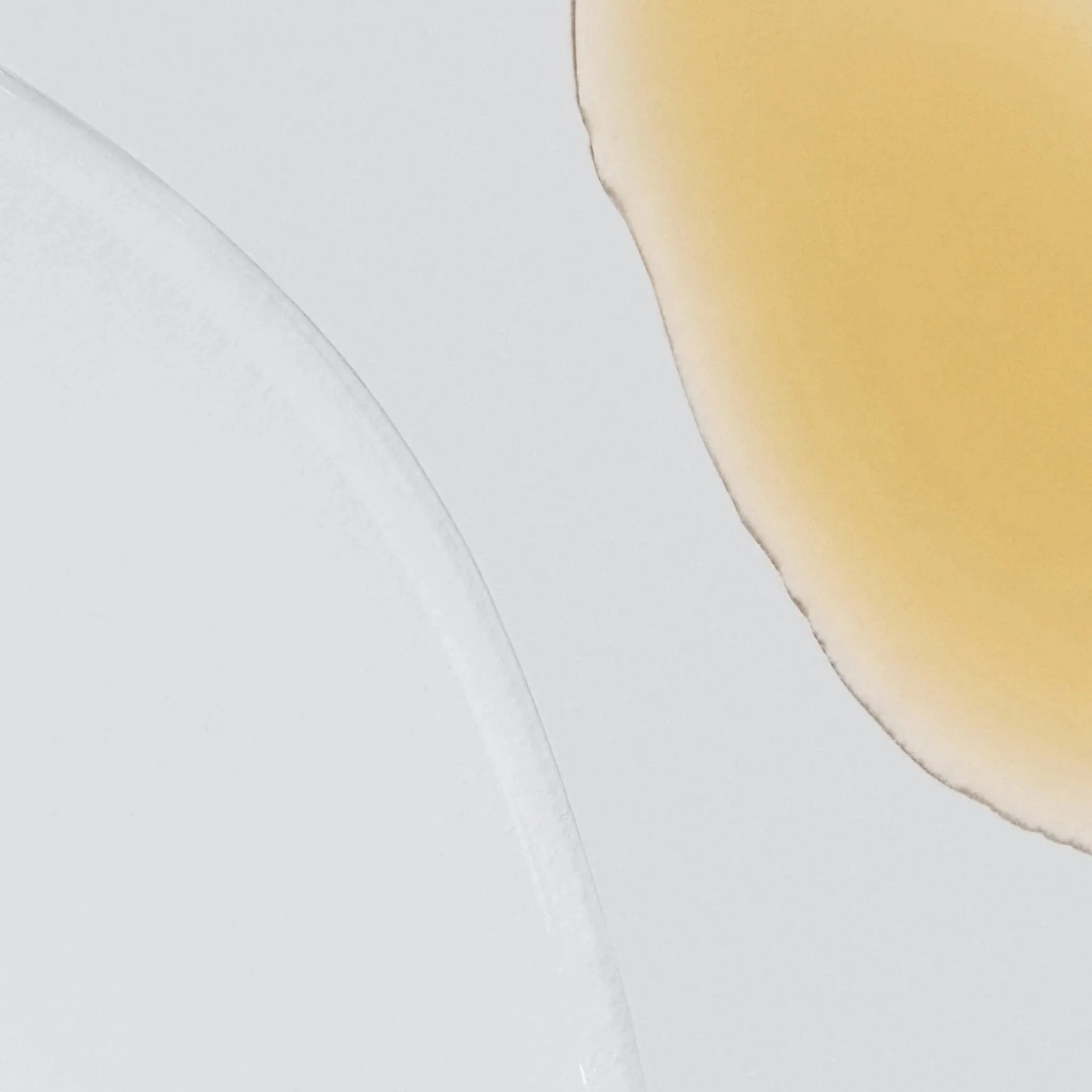 phyto-nature firming serum