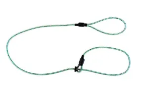 SPORTING SAINT Field Trial Pro Slip Lead