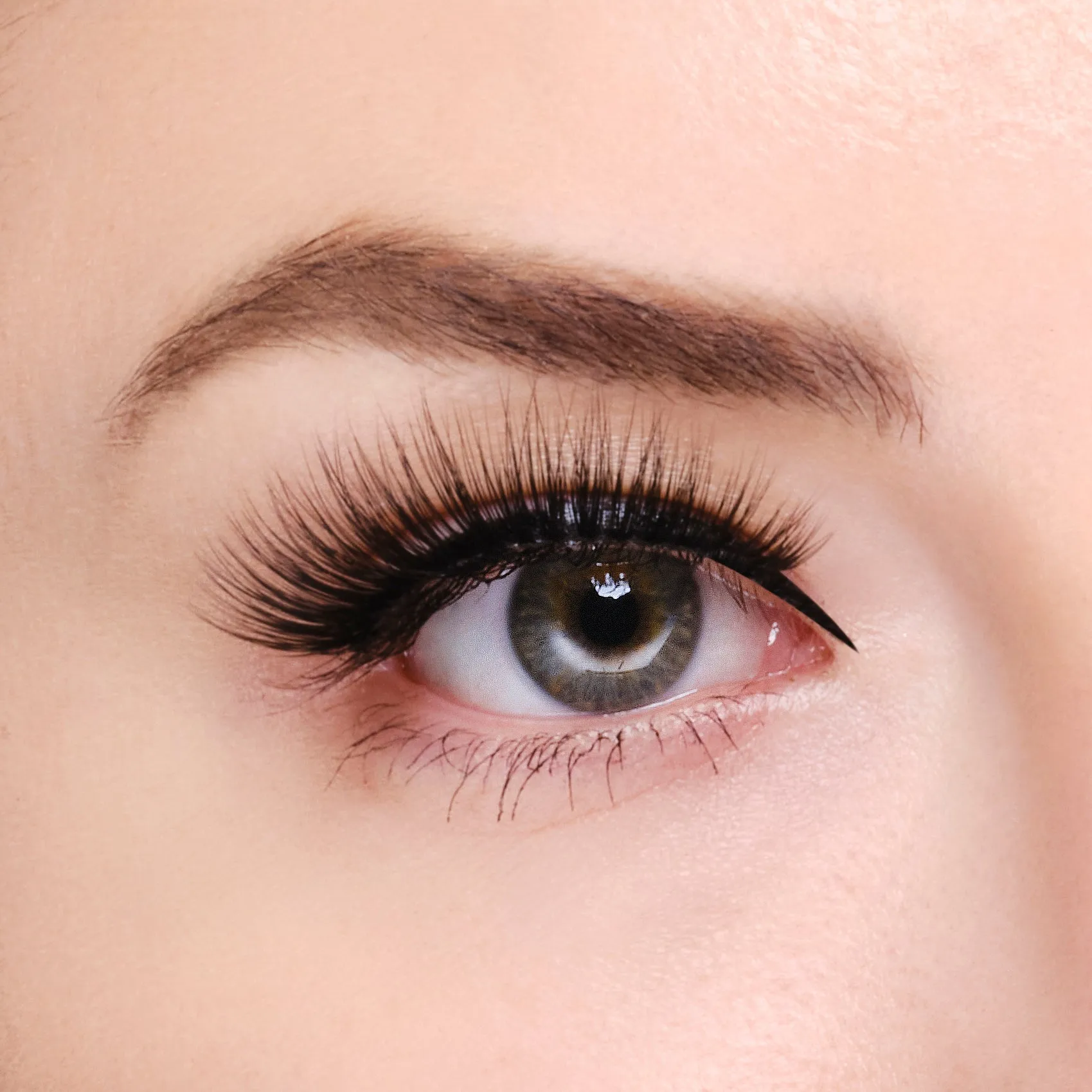 Synthetic Eyelashes - Anastasia