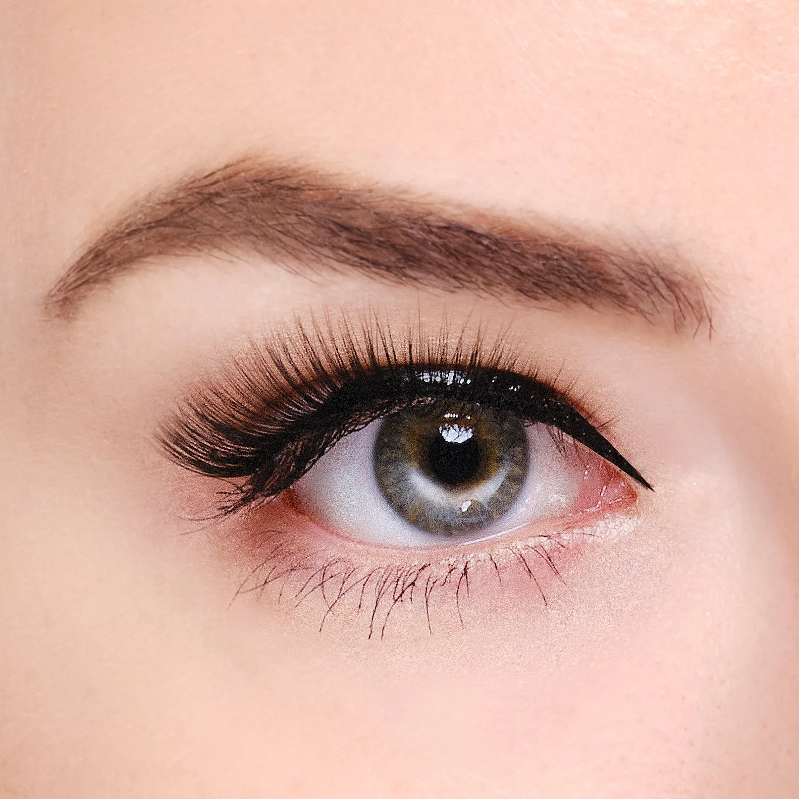 Synthetic Eyelashes - Roxy
