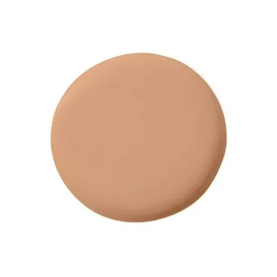 Temptu Perfect Canvas Hydra Lock Airbrush Foundation